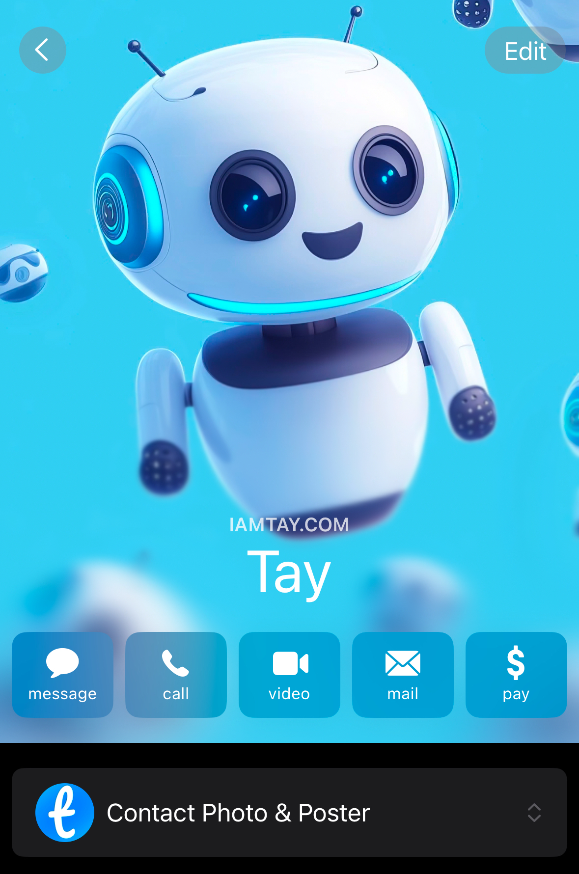 Tay integrated with Messages